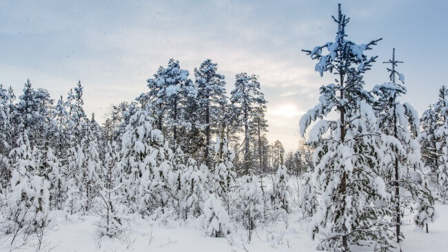 Extremely Low Temperatures 4