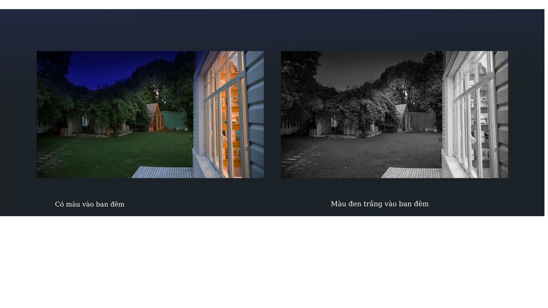 Có Màu Vào Ban đêm (1)